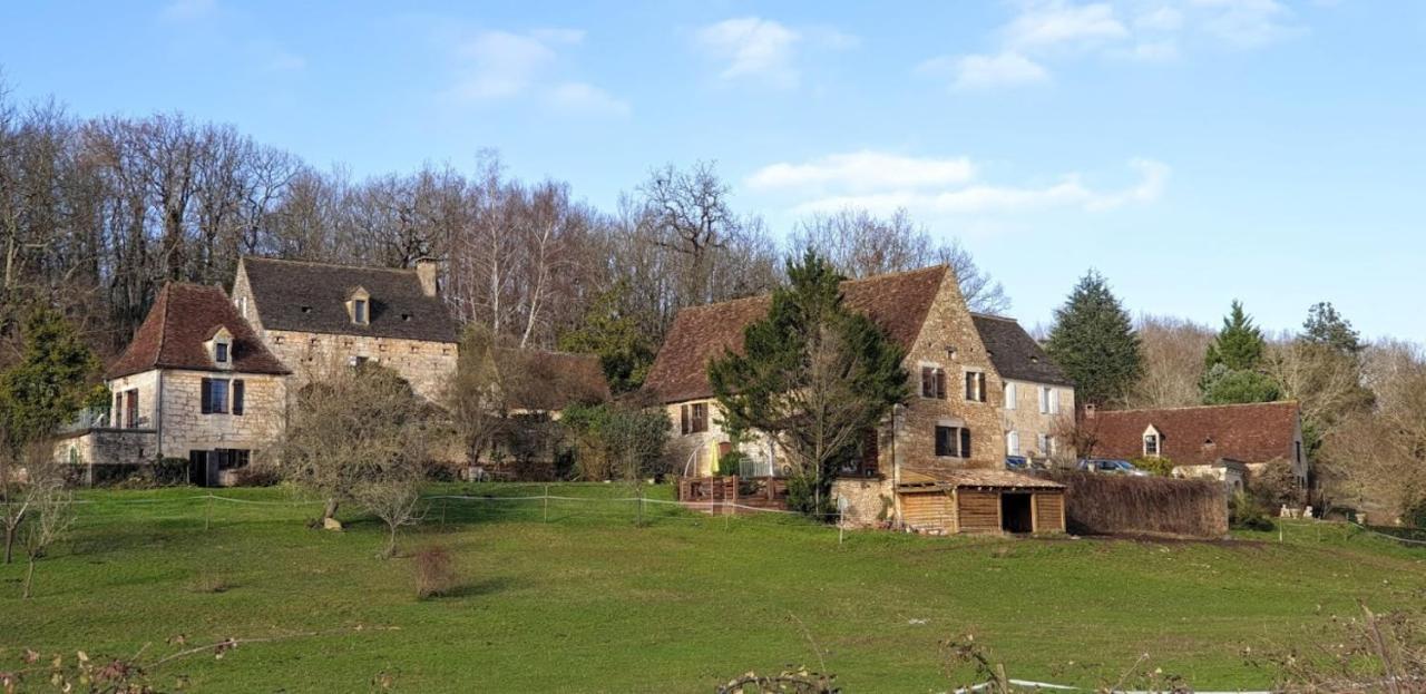 Вилла Domaine De Bagnegrole Сен-Сиприен Экстерьер фото